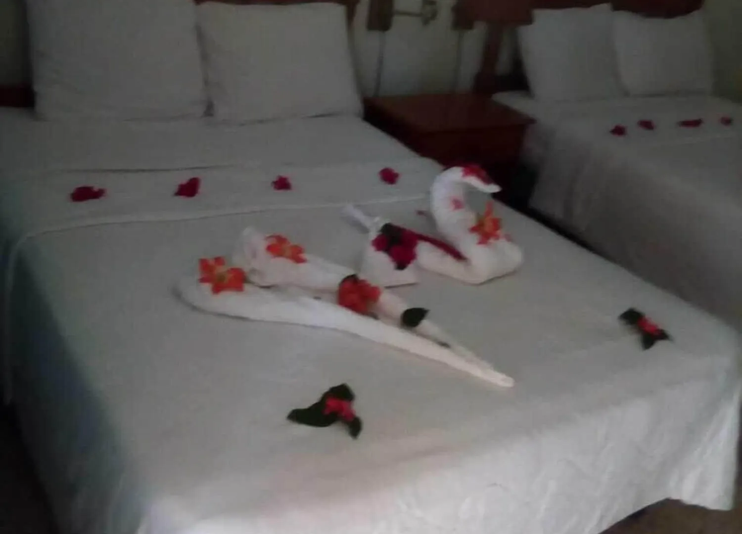 Bar-B-Barn Beach Hotel نيغريل