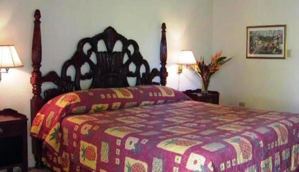**  Bar-B-Barn Beach Hotel نيغريل جامايكا